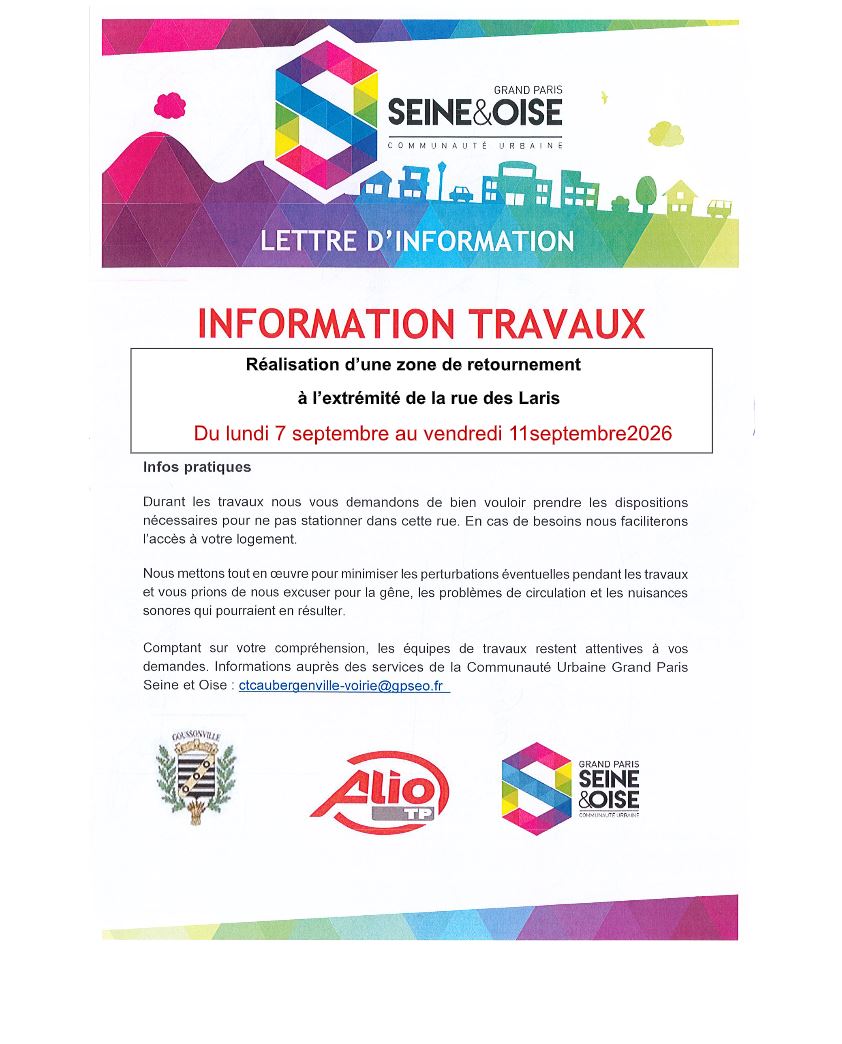 Travaux route des Laris